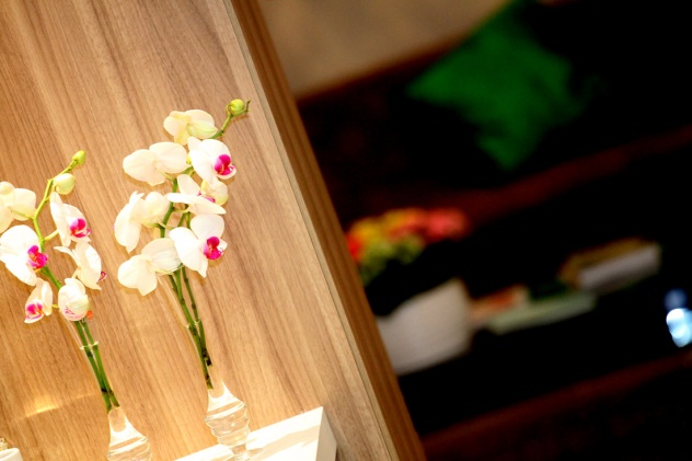 odontoquality_clinica odontoquality florianopilis_dentista em florianopolis_look trabalho_danigarlet_decor (19)