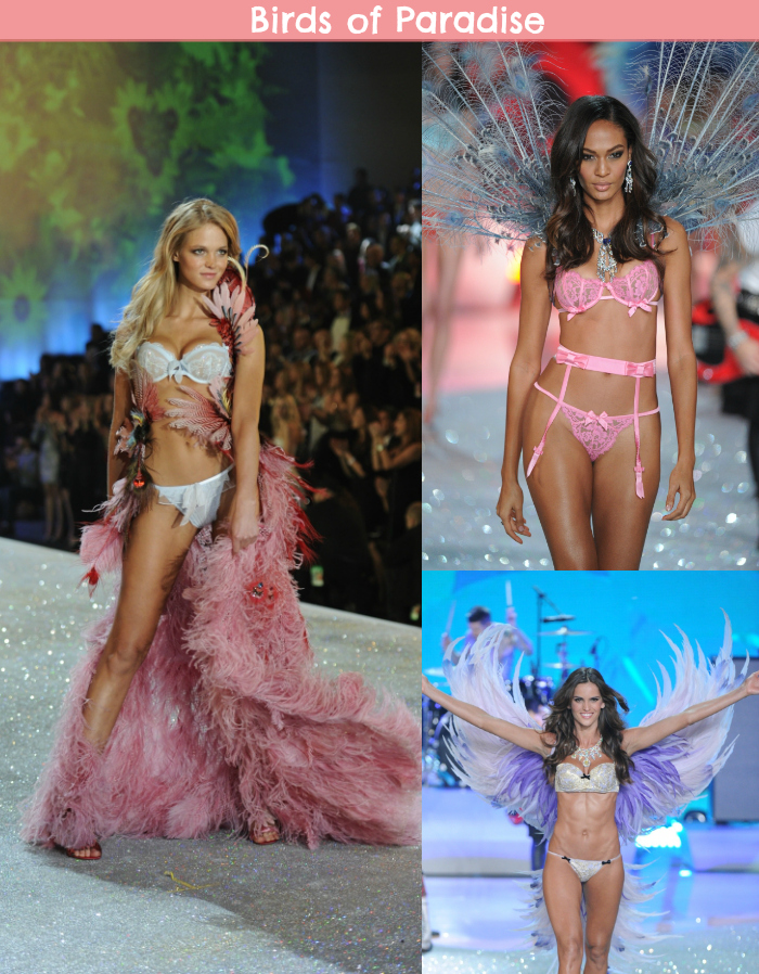 dani-garlet_vs_victorias-secret-fashion-show-2013_desfile_lingerie_angels_modelos_taylor-swift_fall-out-boy_birds of paradise
