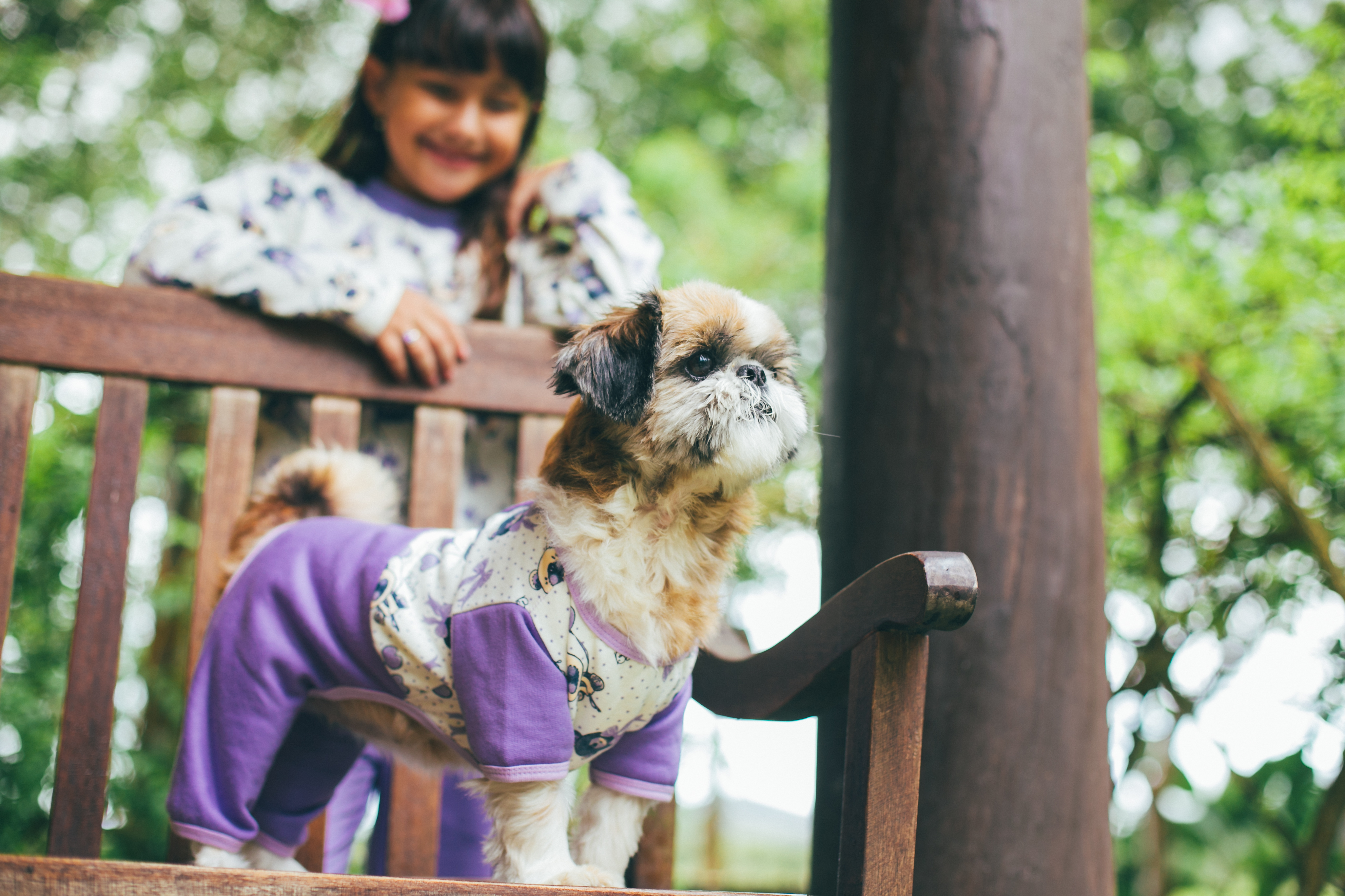 mimos moda pet_ roupas para cachorros_ roupas para crianças e cachorro iguais (3)