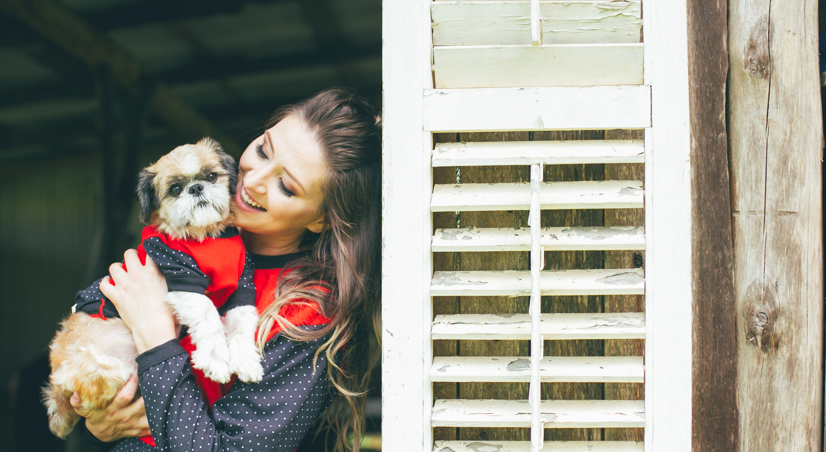 mimos moda pet_ roupas para cachorros_ roupas para crianças e cachorro iguais (12)